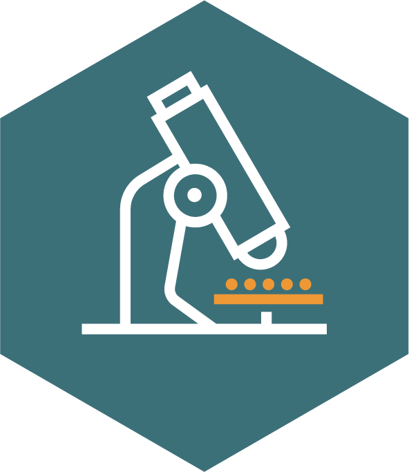 Analyses & Caractérisation