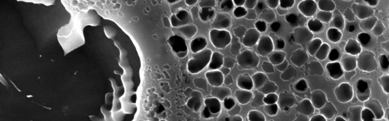 Analyses & Caractérisation