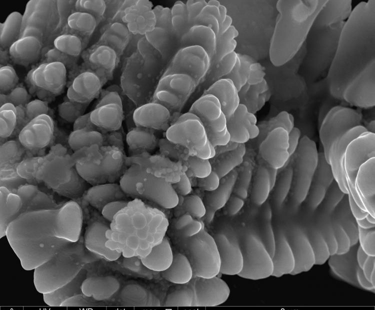 Analyses & Caractérisation